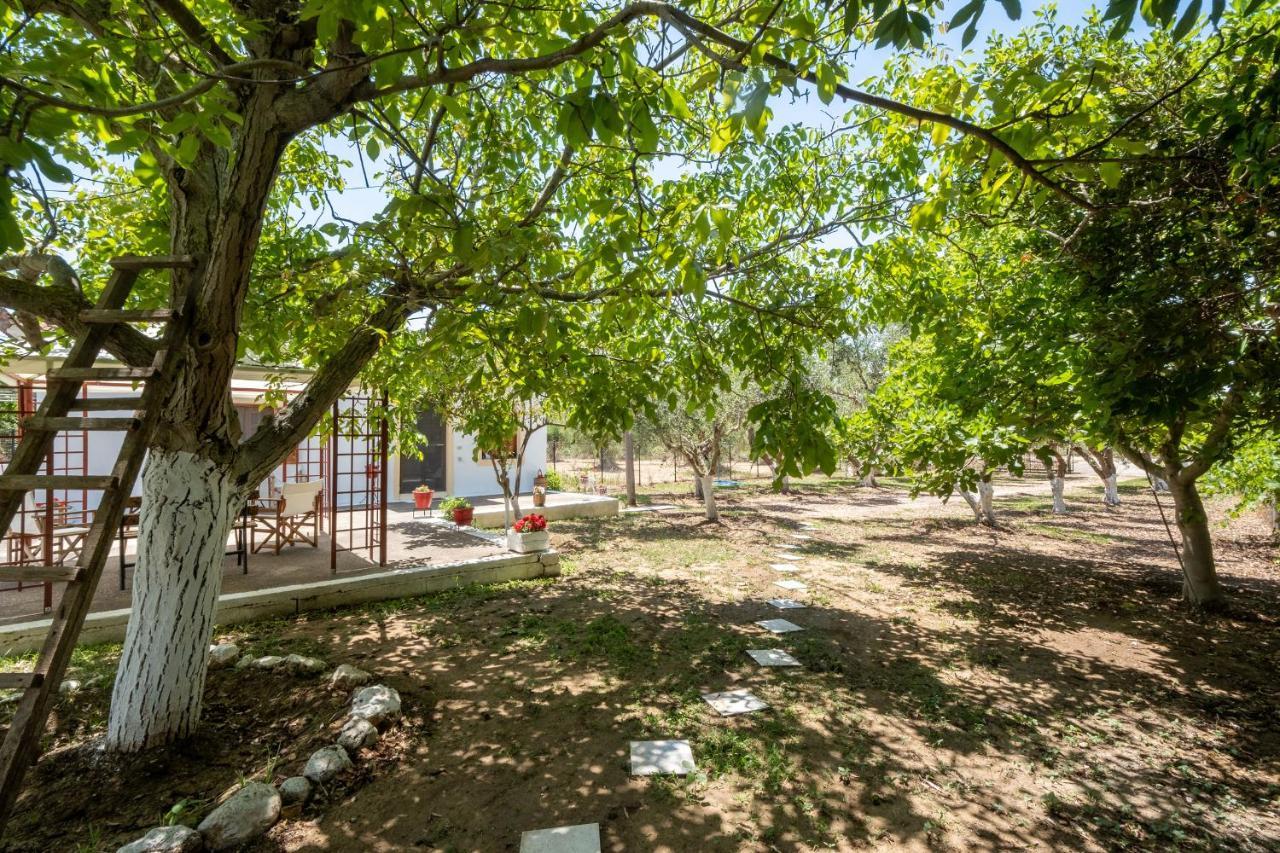 Nagia'S House, Εξοχική Κατοικία Κοντά Στη Θάλασσα! Korakokhórion Exterior foto